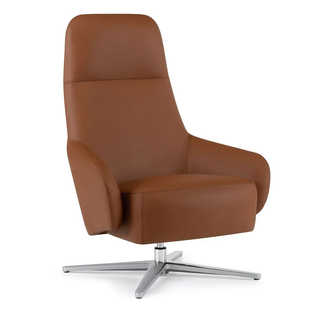 Arcadia - Dava Swivel
