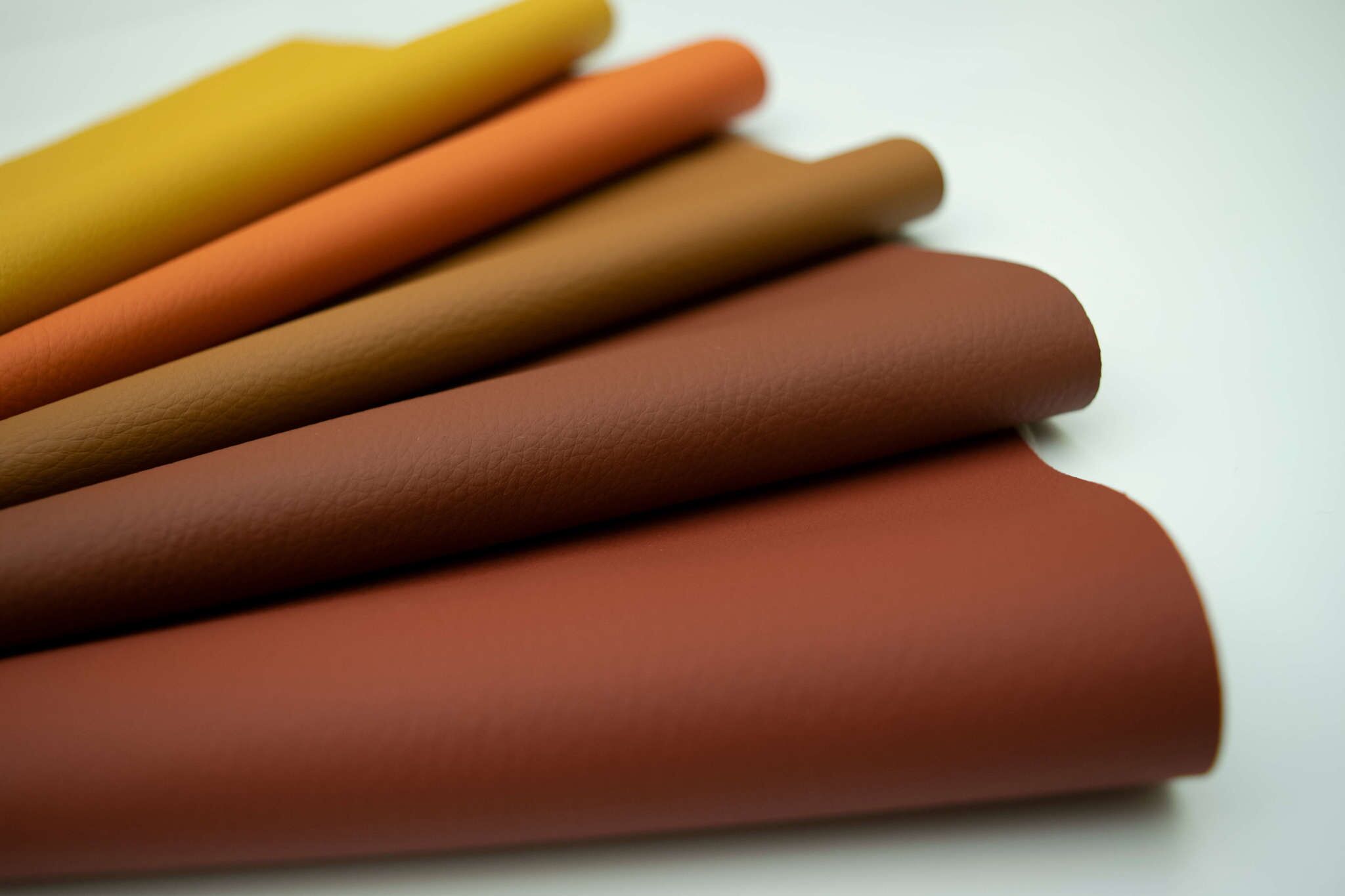 Camira - Port - Image 2