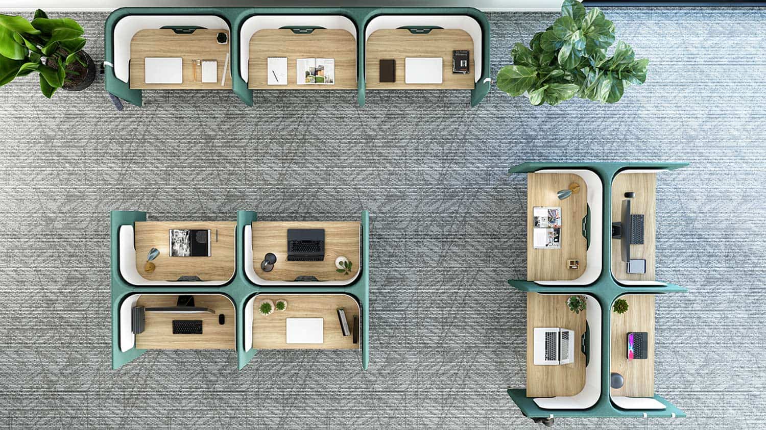 Darran - Honey 90° - Image 4