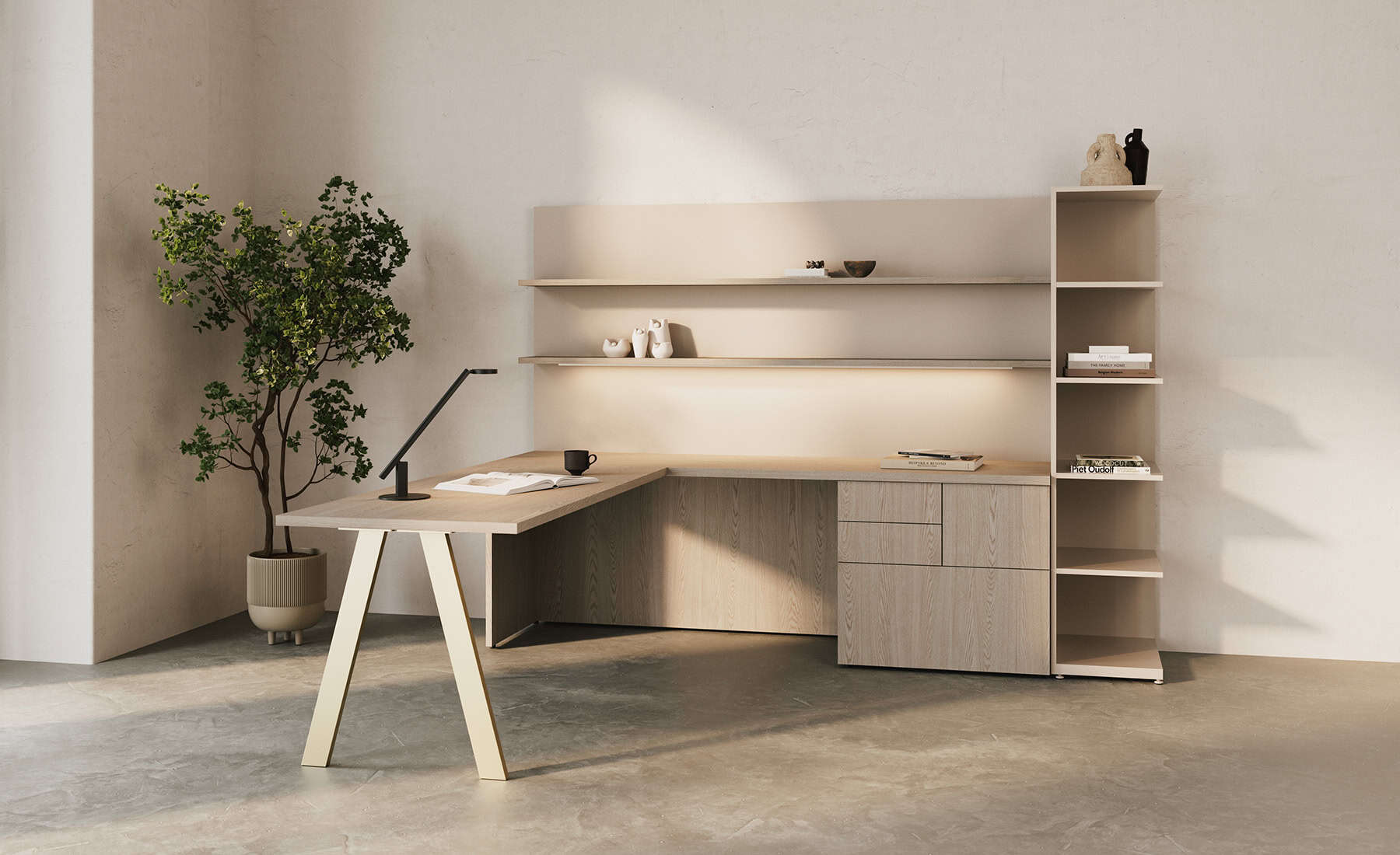 Darran - Central Park - Image 2