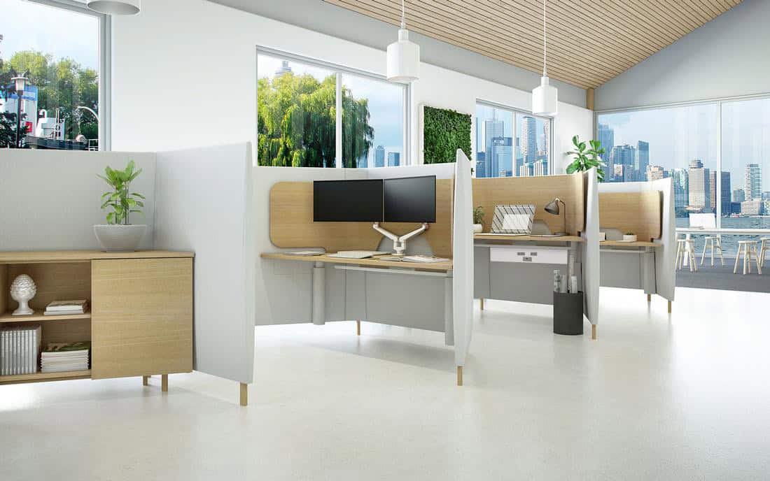 Darran - Honey 120° - Image 2