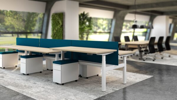 XTB4 - Image 2