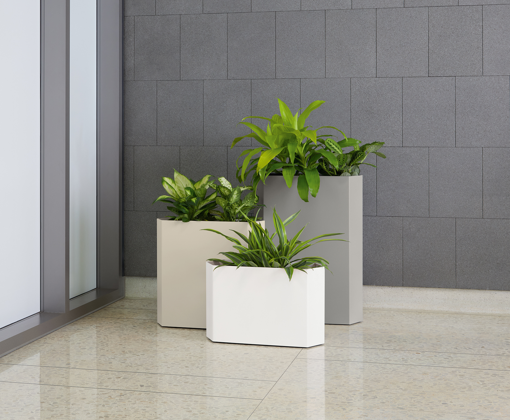 Arcadia - Hexadecimal - Image 2