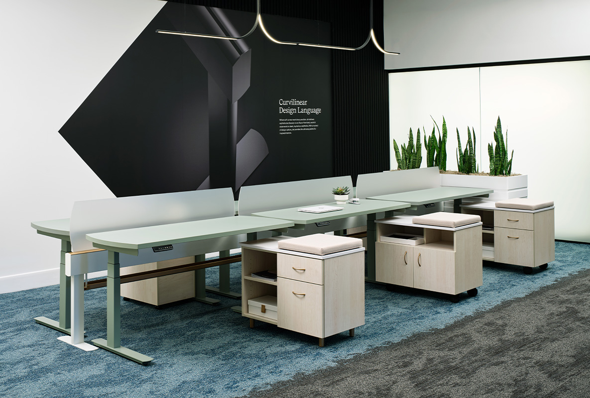Enwork - Jet - Image 2
